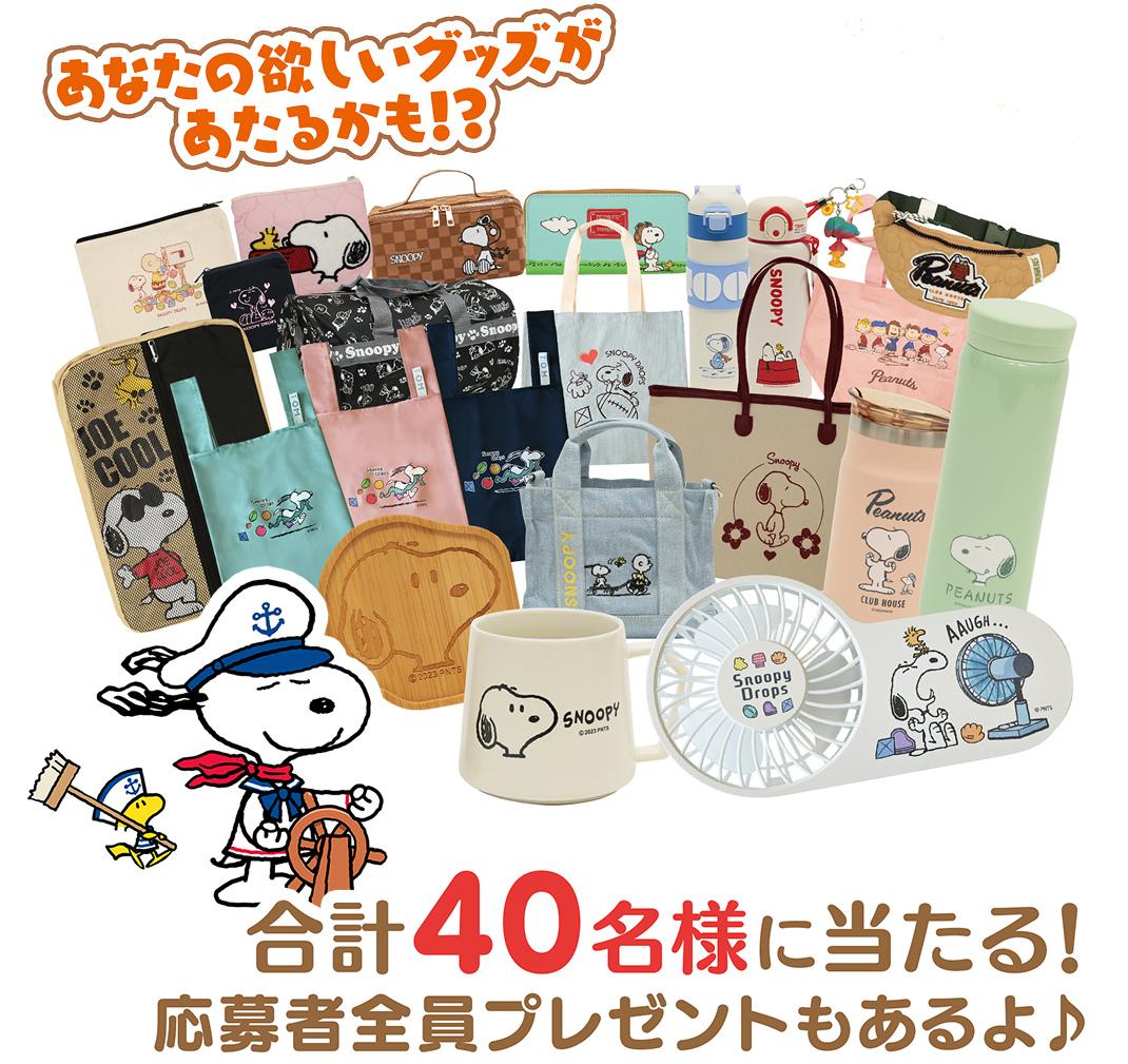 夏のBIGキャンペーン