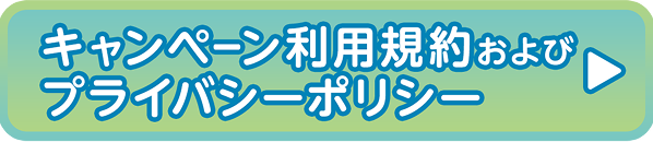 キャンペーン利用規約およびプライバシーポリシー