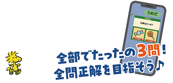 全部でたったの3問！全問正解を目指そう♪